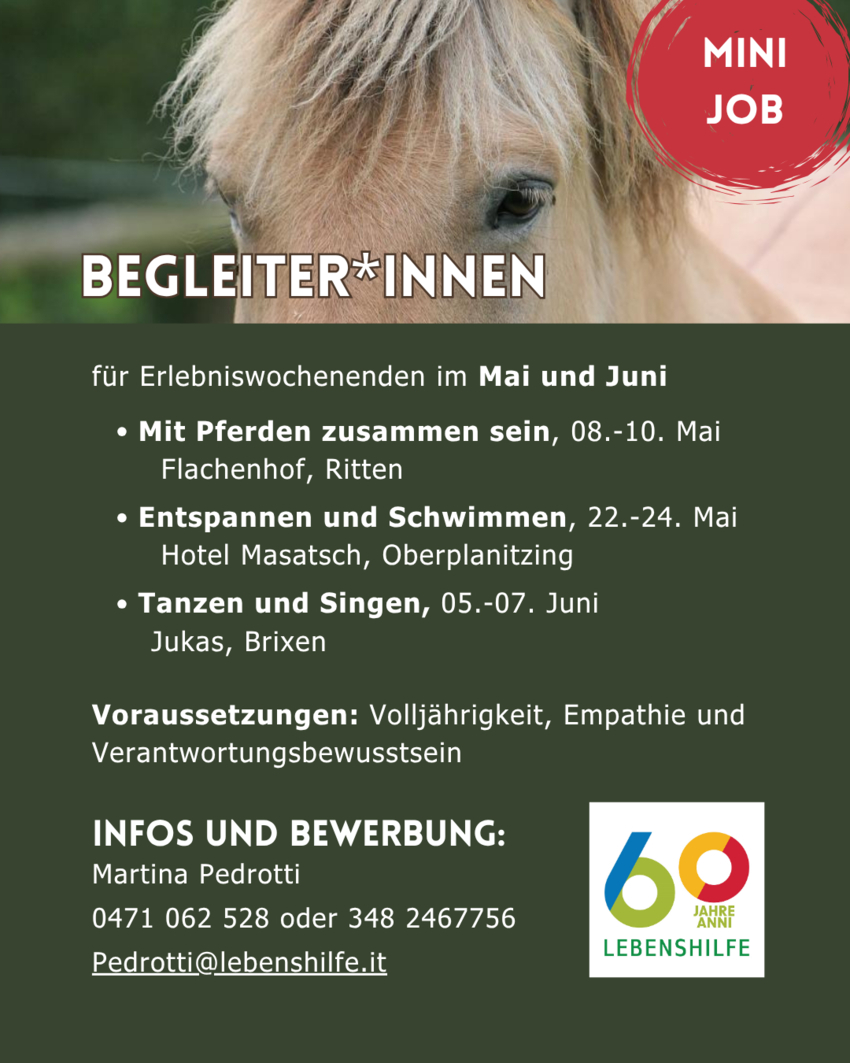 Begleiter:in Erlebniswochenenden (m/w/d)