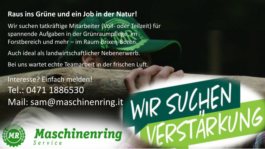 Mitarbeiter Grünraumpflege-Forstbereich (m/w/d)