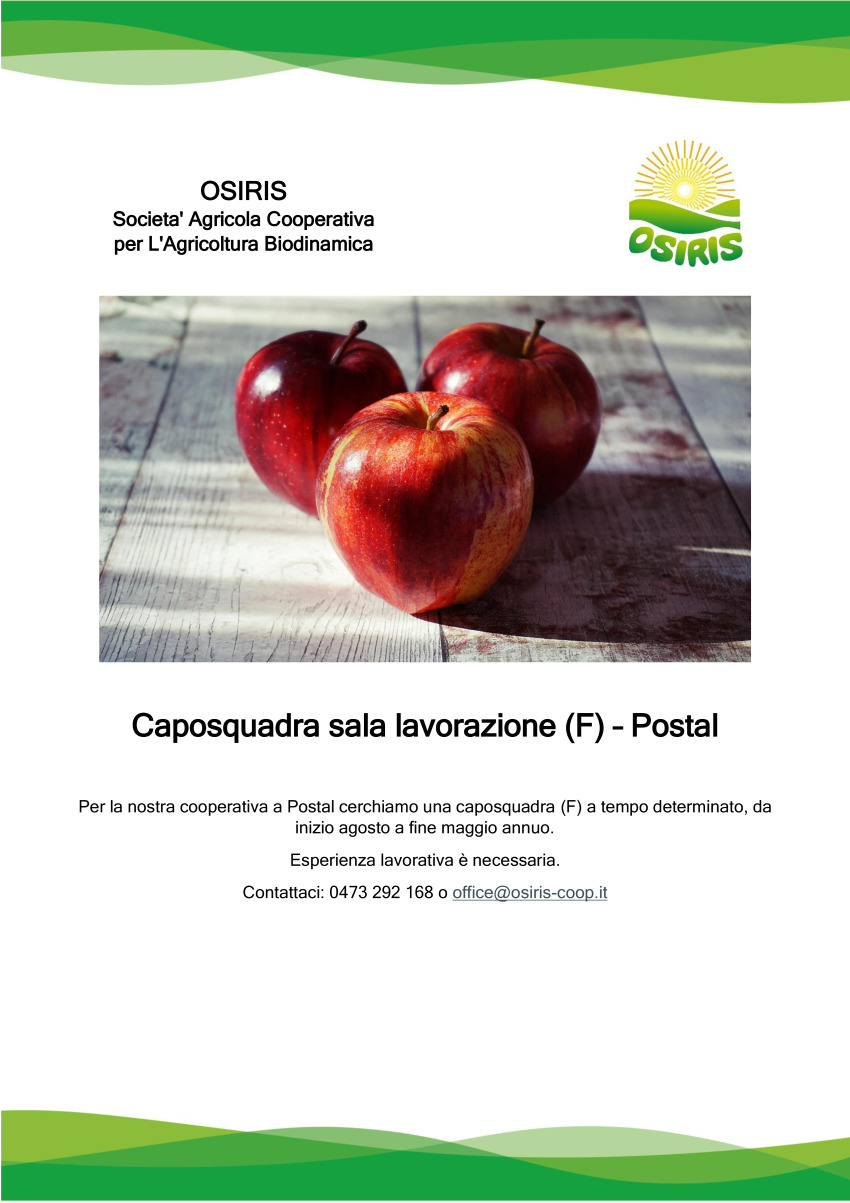 Caposquadra sala lavorazione (F)