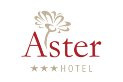 Hotel Aster