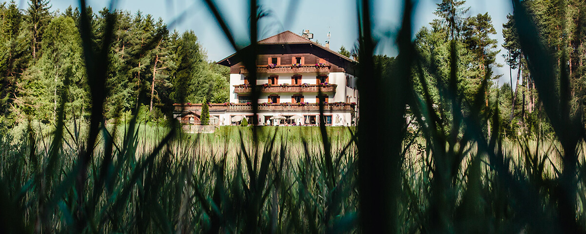 Karriere bei Hotel Waldsee Jobs bei Hotel Waldsee