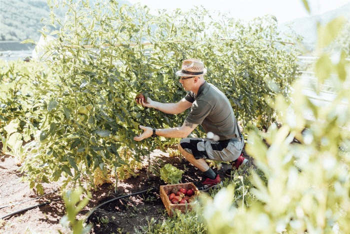 Jobs bei Theiner's Garten