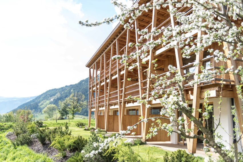 Gastro Jobs bei Taubers Biovital Hotel Gastro Jobs bei Taubers Biovital Hotel