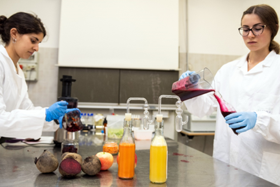 Karriere bei VERSUCHSZENTRUM LAIMBURG