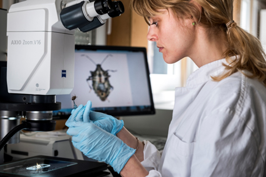 Carriera presso IL CENTRO DI SPERIMENTAZIONE DI LAIMBURG