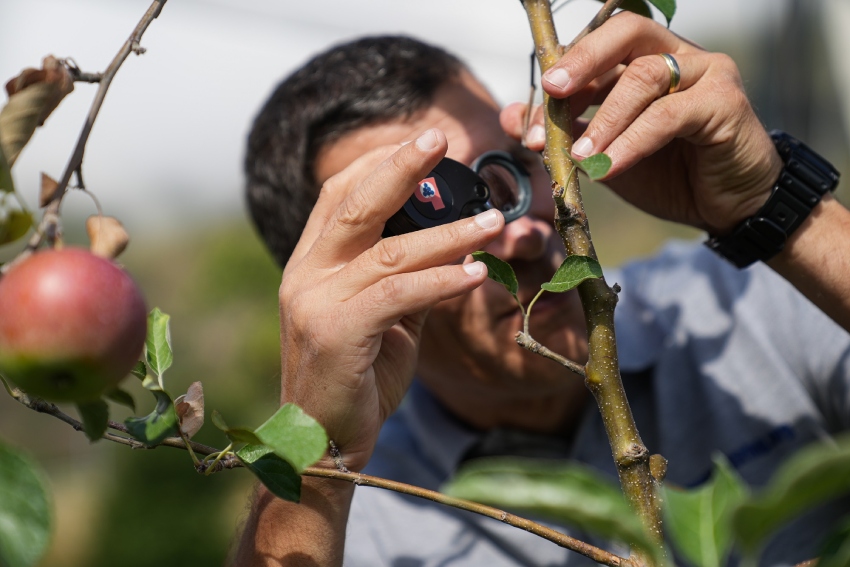 Jobs bei Südtiroler Beratungsring für Obst- und Weinbau