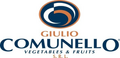 Comunello Giulio Srl