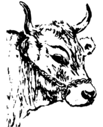 Jobs bei Nationale Vereinigung der Züchter der Grauviehrasse.png