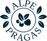Karriere bei Alpe Pragas.png