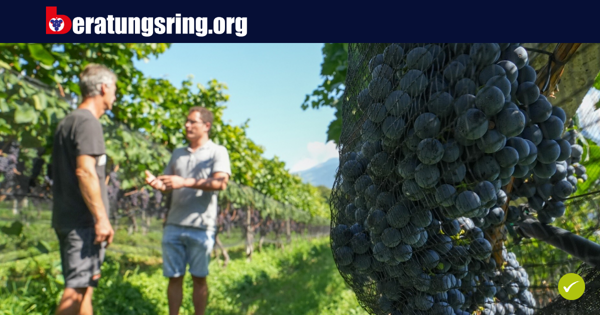 Jobs bei Südtiroler Beratungsring für Obst und Weinbau