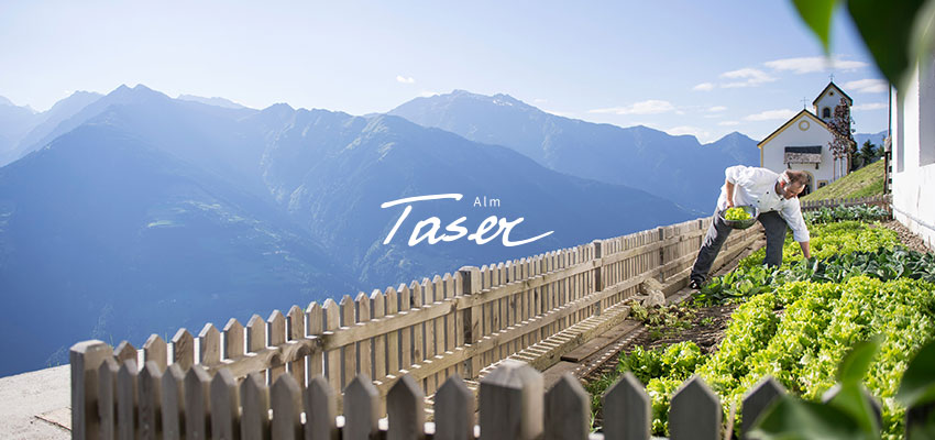 Karriere bei Taseralm Jobs bei Taseralm