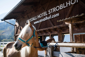 Jobs bei STROBLHOF ACTIVE FAMILY SPA RESORT