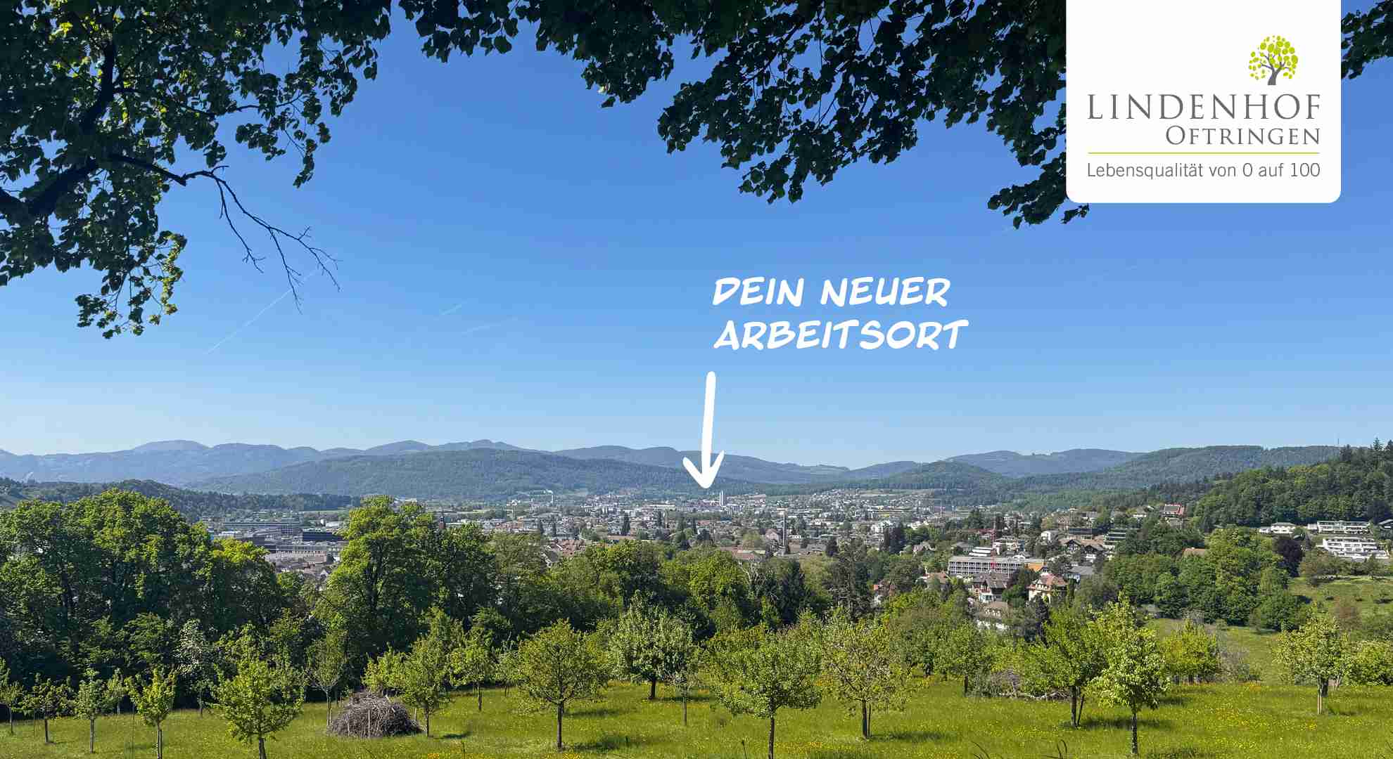Jobs bei Lindenhof