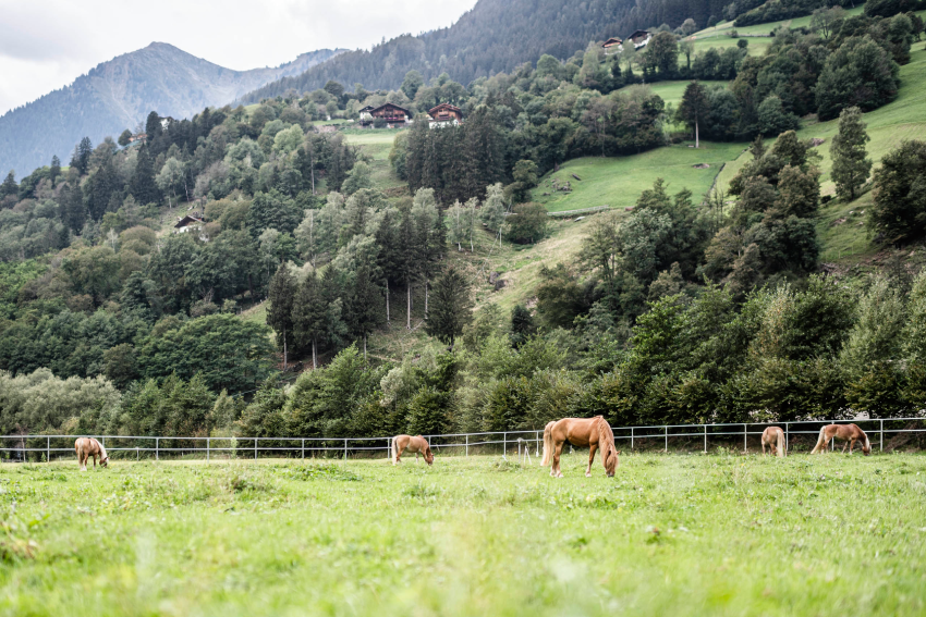 Jobs bei STROBLHOF ACTIVE FAMILY SPA RESORT
