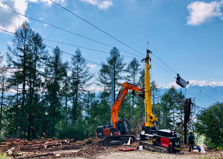 Karrieremöglichkeiten bei Waldprofi Srl